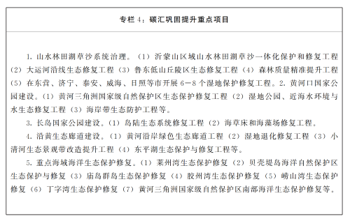 【资讯】山东省人民政府发布《山东省碳达峰实施方案》(图4)