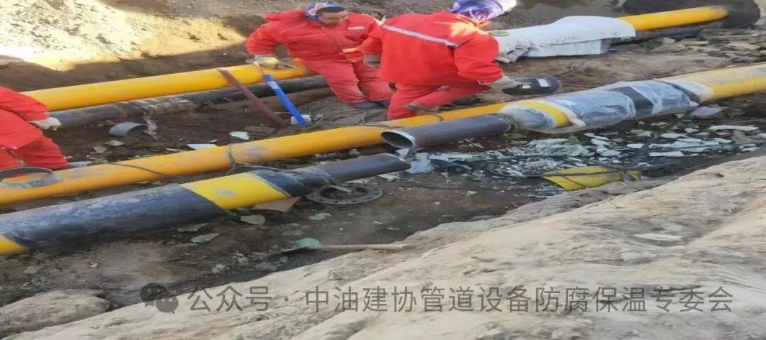 纳米陶瓷耐高温防腐材料 在油田高温采出液余热利用示范项目成功应用(图5) 纳米陶瓷耐高温防腐材料 在油田高温采出液余热利用示范项目成功应用(图5)